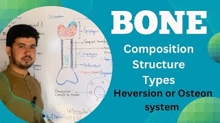 Bone tissue Structure and Composition MDCAT Biology Bone anatomy and Physiology Zia Academy [upl. by Weight61]