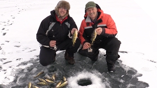 Ice Fishing for Perch  How to Catch Perch Through the Ice [upl. by Nodnyl]