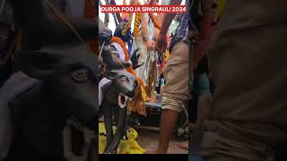 man Durga Singrauli video number 02 [upl. by Atalie47]