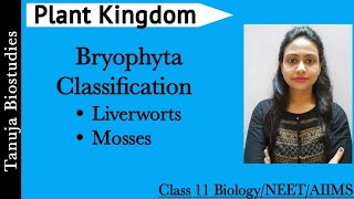 Plant Kingdom  Classification of Bryophyta  Liverworts  Mosses  Class 11 BiologyNEETAIIMS [upl. by Sauls]