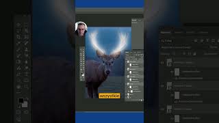 Efekt rozświetlenia na zwierzętach photoshop [upl. by Burroughs]