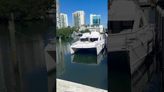 Luxury Catamaran Yacht in Florida yacht florida [upl. by Ylatfen263]