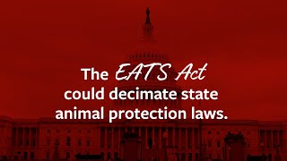 The EATS Act a shocking threat to animals and consumers [upl. by Schmeltzer]