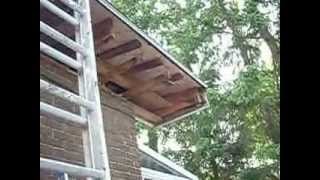 REPAIRING SOFFITS AND FASCIA [upl. by Crompton818]