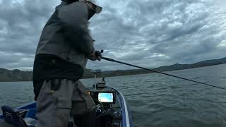 Heartbreaker Losing a Giant Largemouth Bass on a Huddleston Swimbait  Lake Berryessa [upl. by Brass]