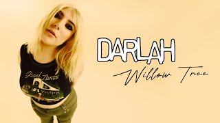 DARLAH  Willow Tree Official Lyric Video [upl. by Yusuk]