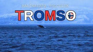 Balinalara Yolculuk  Tromsø [upl. by Ynohtn]