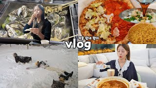 먹방vlog 겨울 너 드디어 왔구나  굴찜석화만두전골 레시피까르보불닭양파장아찌단독주택 첫겨울붕어빵쌀국수랭쌥 [upl. by Rebbecca787]