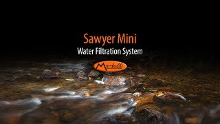 Sawyer Mini Water Filter [upl. by Enyale456]