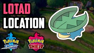 How to Catch Lotad  Pokemon Sword amp Shield [upl. by Anaek]