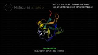 Molecules in silico ･ CRYSTAL STRUCTURE OF HUMAN PANCREATIC SECRETORY PROTEIN ZG16P WITH LAMINARIB [upl. by Consuelo]