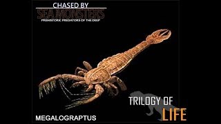 TRILOGY OF LIFE  Sea Monsters  quotMegalograptusquot [upl. by Alhsa]