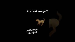 Meg aki szereti a lovakat nem baj hogyha nem lovagol az is likeoljon🐴🐎 [upl. by Sayre]