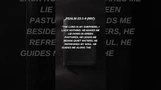 Psalm 2314 NIV shorts [upl. by Hatty504]