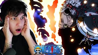 ZORO VS HAWKINS  One Piece Episode 899900 Reaction [upl. by Cini660]