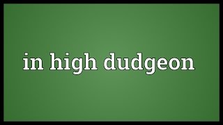 In high dudgeon Meaning [upl. by Dalston]