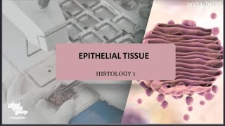 Epithelial tissue  Histology 1  Lecture 3 revision [upl. by Rekcut]