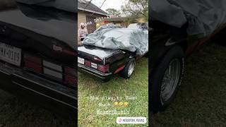 😂wifey Gets happy When I pull out my oldSchool 🏎️ tiktok car cartok funny viralvideo malibu [upl. by Jedlicka]