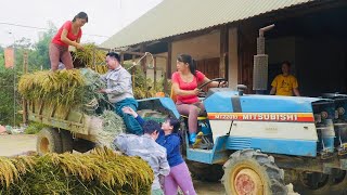 Single Mother Helping Villagers Harvest Seasonal Rice and Transport It Home  Ban An Farm [upl. by Einatirb]