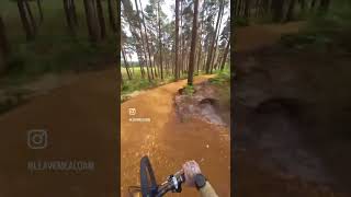 Swinley blue 6 improvements 2024 mtb ukbikelife swinleyforest swinley [upl. by Anne-Corinne]