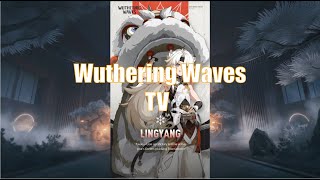 Wuthering Waves  Linyangs Story  Dialogue only [upl. by Etnaihc]