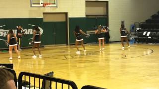 USC Upstate Cheerleaders [upl. by Blake]