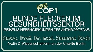 08 Susanne Koch  Blinde Flecken im Gesundheitssystems [upl. by Fawne]