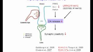 Genetic Analysis of LRRK2 by Jie Shen [upl. by Rednaxela716]