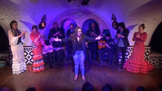 Visita María Terremoto a Tablao Flamenco Cordobes 28102018 [upl. by Irallih]