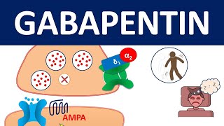 Gabapentin  Mechanism precautions amp side effects [upl. by Hyacinthe]