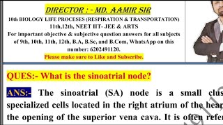 What is the sinoatrial node [upl. by Petronella83]