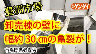 豊洲市場 卸売棟の壁に幅約３０センチの亀裂が！ [upl. by Marven399]