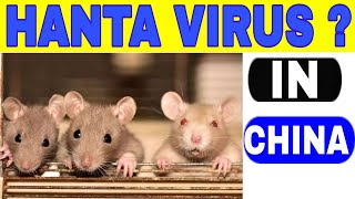 New Virus in China  HantaVirus Outbreak 2020  Jawad Bashir Vlog [upl. by Aliab507]