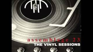 Assemblage 23  Purgatory Analog Mix [upl. by Roseline]