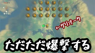 【ティアキン】ただただ炎グリオークを爆破する厄災リンク [upl. by Natika]