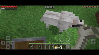 Minecraft sezon 2 odcinek 1 zdobywam psy [upl. by Marcus]