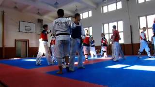 Sejong Taekwondo Training Camp 2013 [upl. by Curnin504]