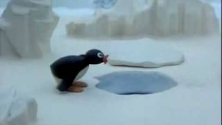 Pingu No [upl. by Cariotta]