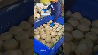 The Best Coconut Packaging Process in Thailand [upl. by Annoyk298]