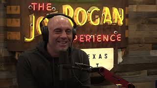 Joe Rogan Experience 1801  David Mamet [upl. by Nyletak437]