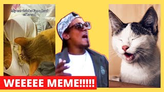 weeeee meme tiktoks compilation try not to laugh 😂😂😂😂 [upl. by Wilton911]