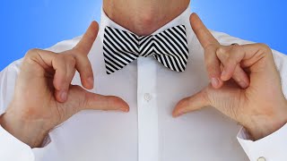 How to Tie a Bow Tie Self Tie Bow Tie Knot  How to Tie a Tie Easy Tutorial [upl. by Appilihp]