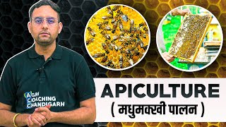 Apiculture  Honeybee Farming  Bee Keeping [upl. by Fante]