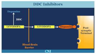 Medications for the Treatment of Parkinsons Disease [upl. by Hewitt]