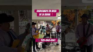 Radicamos en Bay Area triomariachitepatitlan mariachi bayarea [upl. by Eliath]