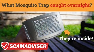 What did Bazoli Mosquito Trap catch overnight Are Sky Instant Mosquito Traps effective [upl. by Cacka235]