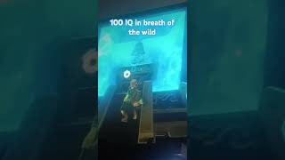 The legend of Zelda breath of the wild 100 IQ zelda nintendo videogames 100IQ [upl. by Endys]