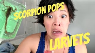 Emmy Eats Scorpion Pops Larvets amp Chili Pops [upl. by Aciram]