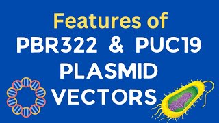 Features of pBR322 amp pUC 19 plasmid vectors  Cloning vectors  Biotechnology [upl. by Ellezig310]