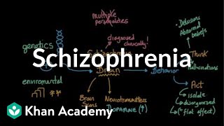 Schizophrenia  Behavior  MCAT  Khan Academy [upl. by Nymassej]